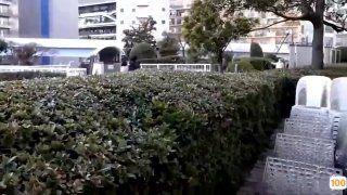 伦理电影第九神马影院🍆在线观看国产一区AV🍆亚洲国产精品久久电影欧美